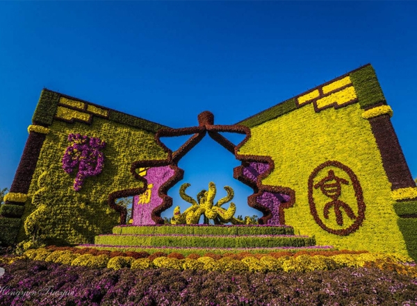開封菊花展工程